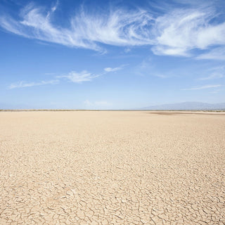 Desert