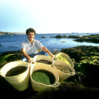 Dan Fryda cousin seaweed harvest